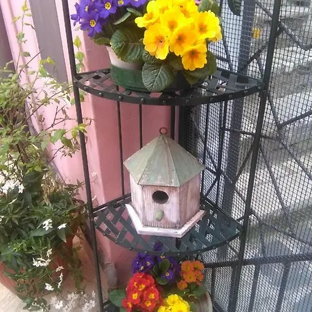 Le Pietre Larghe Bed & Breakfast *
